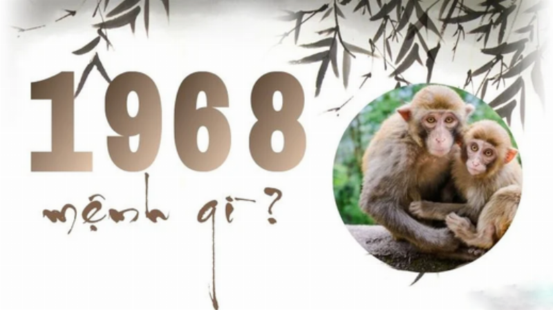 Tình duyên và hôn nhân của người tuổi Mậu Thân 1968: chung thủy, cần sự thấu hiểu và ổn định